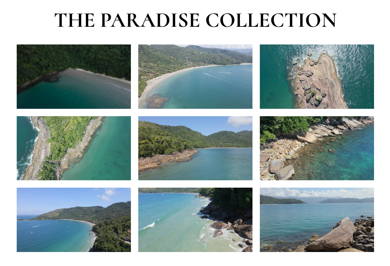 ''The Paradise Collection'' collage of 9/43 works present in this catalog.