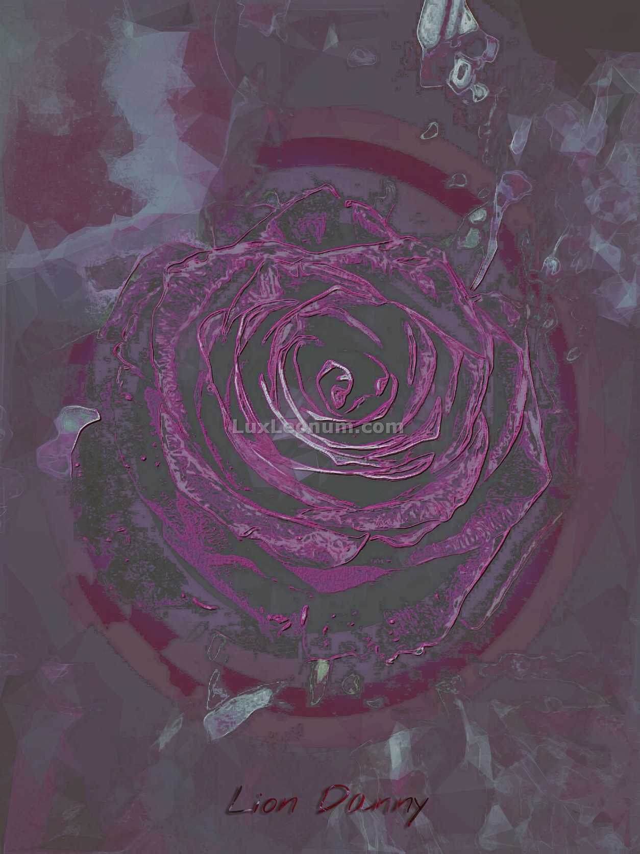 abstract artwork of a magenta-colored rose in the middle of red and maroon circles - a skull can be observed in the top of the painting - Original Artwork by Lux Leonum