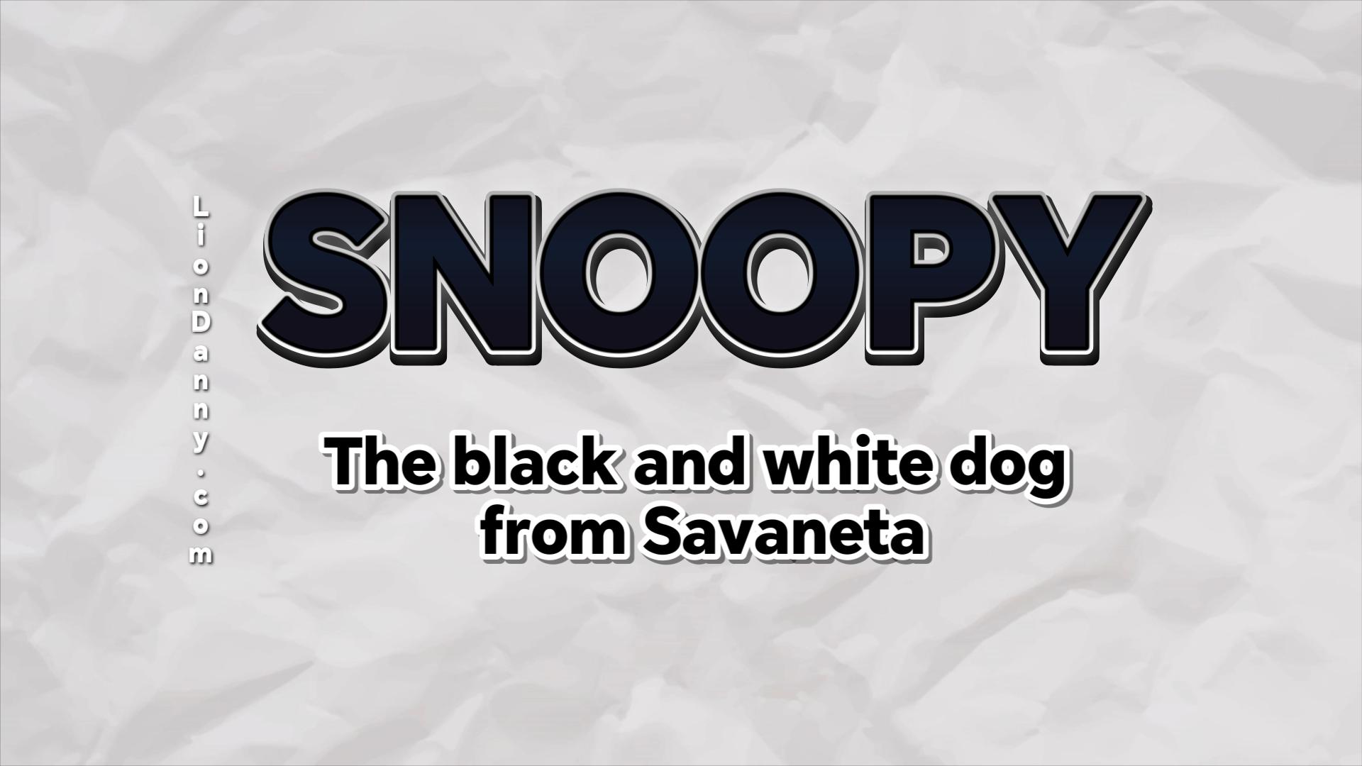 Snoopy the black and white dog from Savaneta written by Lux Leonum in 2026